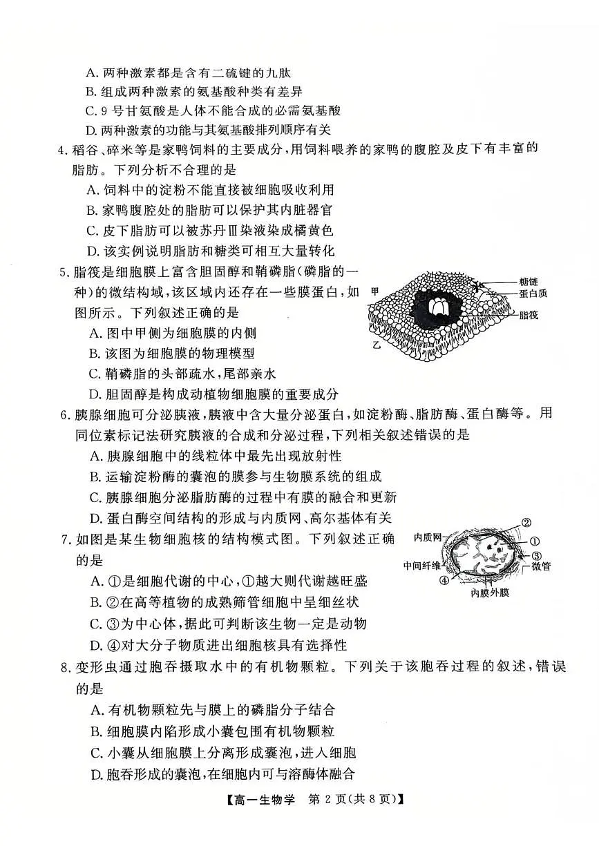 广东省茂名市高州市2024-2025学年高一上学期1月期末考试生物试卷+答案第2页