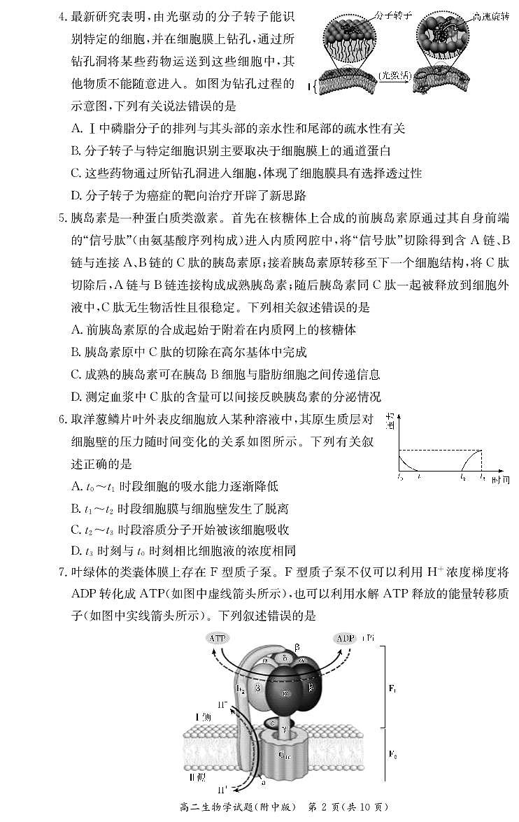 湖南师范大学附属中学2024-2025学年高二下学期期末考试生物试卷+答案第2页