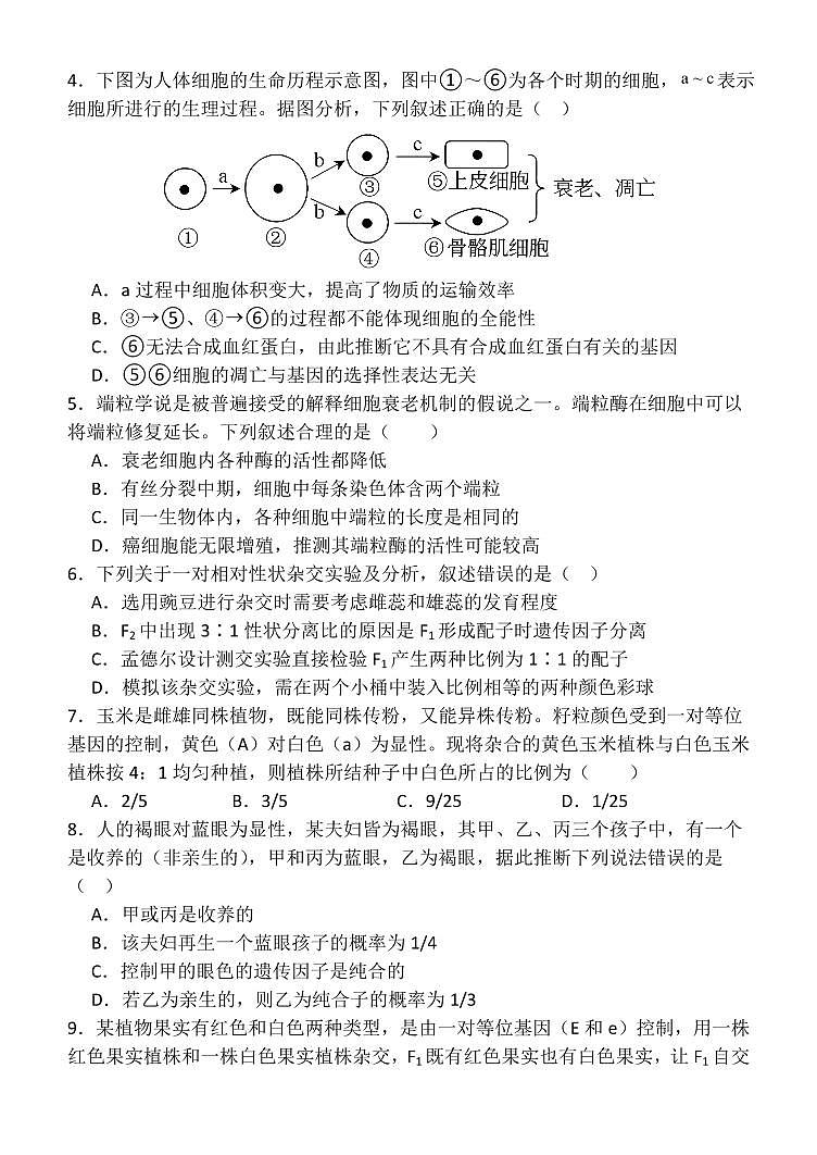 甘肃省张掖市民乐县第一中学2024-2025学年高一下学期3月月考生物试卷+答案第2页