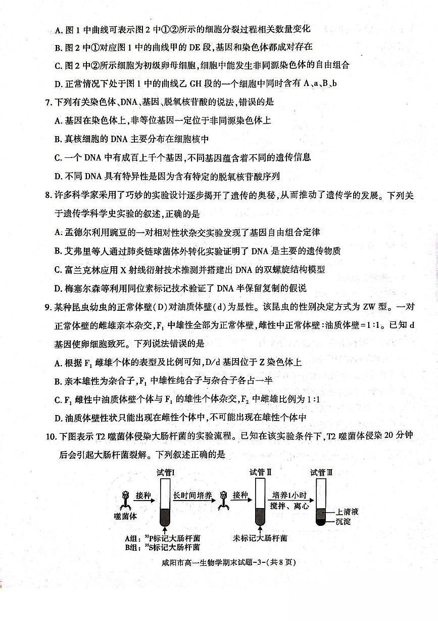 陕西省咸阳市2024-2025学年高一下学期期末质量检测生物试卷（有答案）第3页
