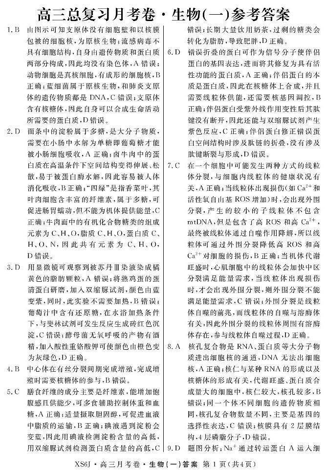2025陕西省咸阳市永寿县中学高三上月考生物（一）试题 答案 高三生物月考答案-1(4页)第1页