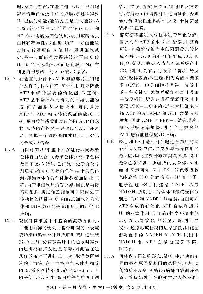 2025陕西省咸阳市永寿县中学高三上月考生物（一）试题 答案 高三生物月考答案-1(4页)第2页