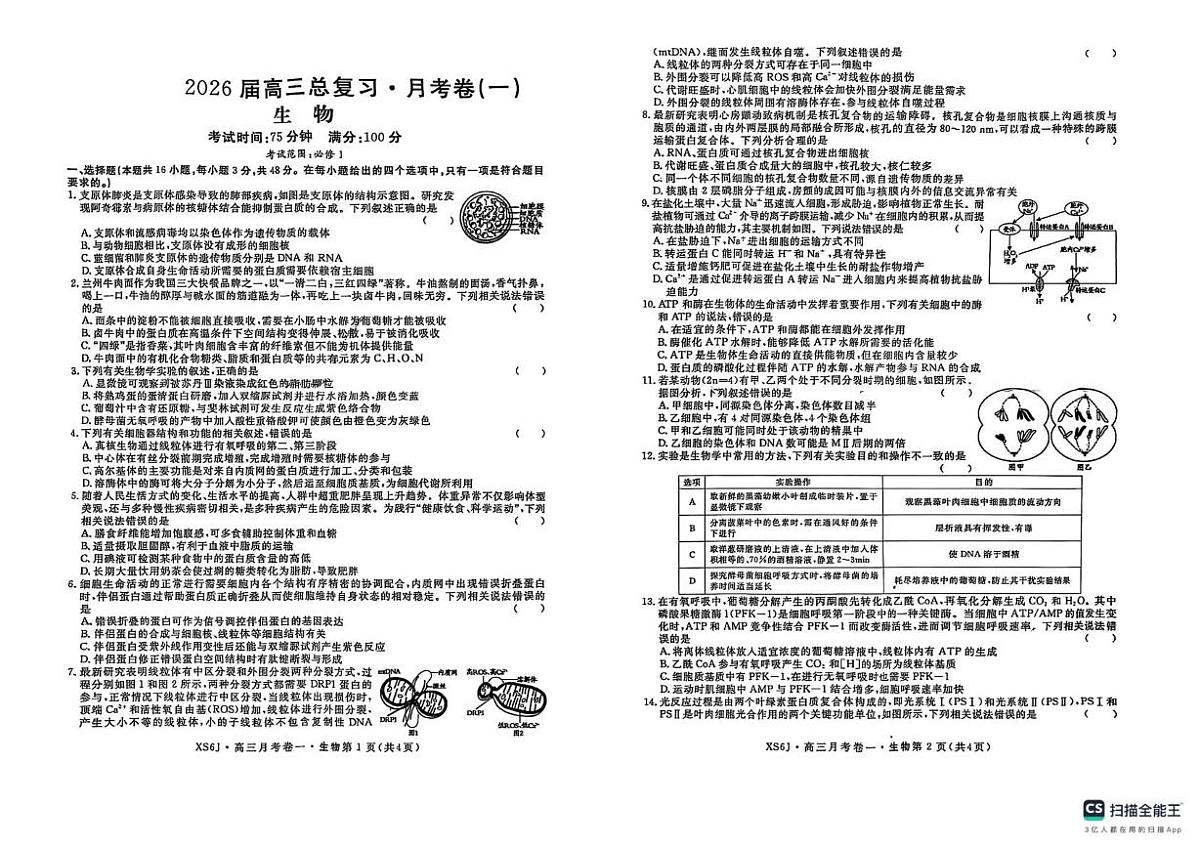 2025陕西省咸阳市永寿县中学高三上月考生物（一）试题 答案 陕西省咸阳市永寿县中学2026届高三上月考生物试题（一）第1页