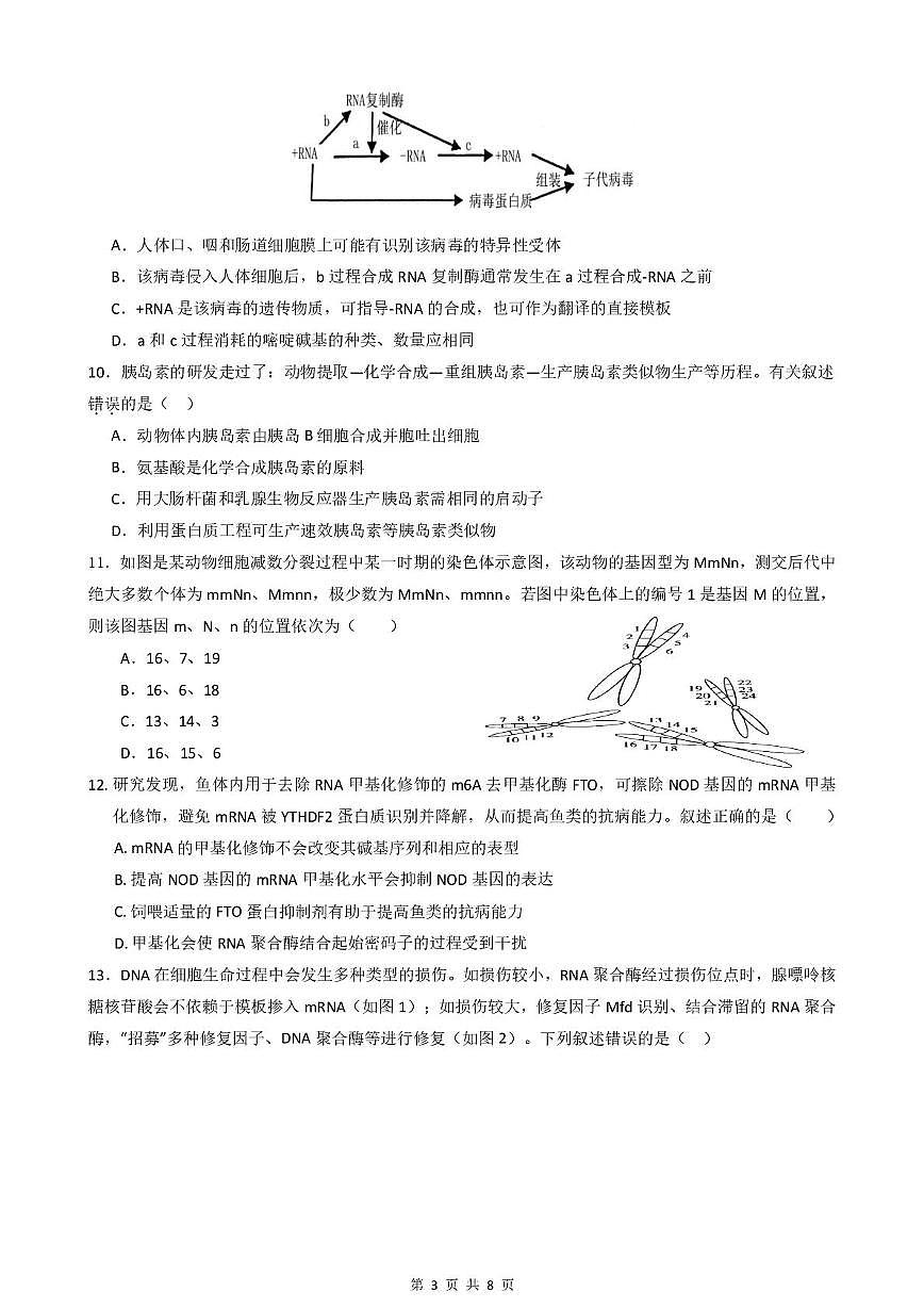 10月月考生物 南山中学实验学校高三生物月考第3页