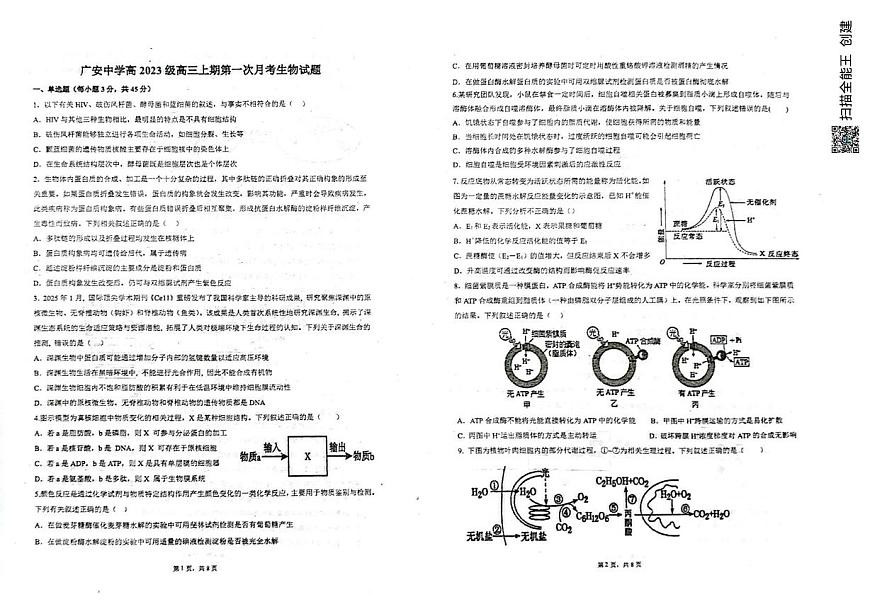 四川省广安中学2025-2026学年高三上学期10月月考生物试题第1页
