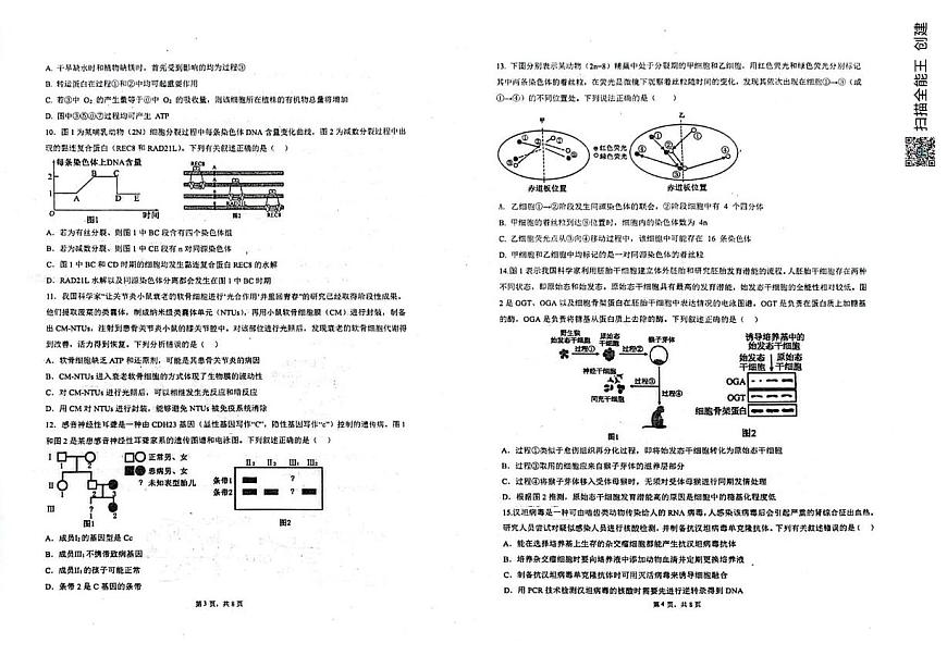 四川省广安中学2025-2026学年高三上学期10月月考生物试题第2页