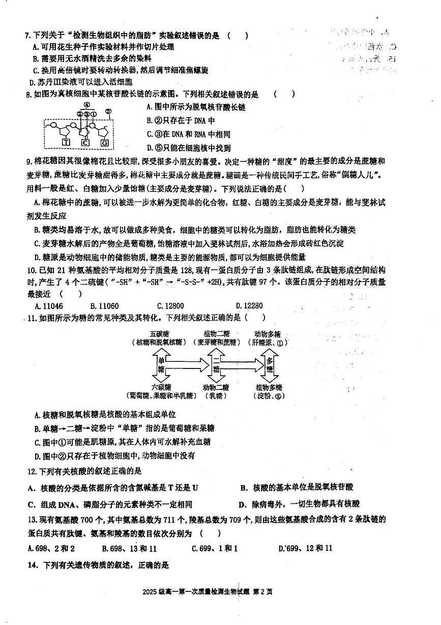 山东省莱州一中10月质检生物试题第2页
