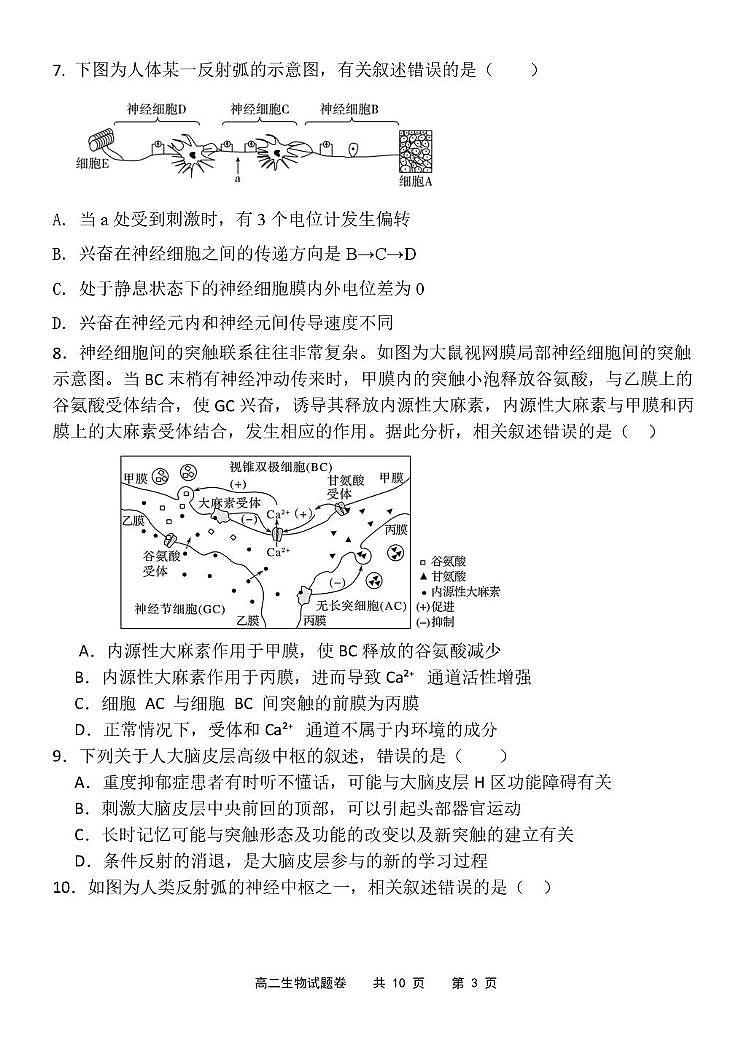 山东省泰安第一中学2025-2026学年高二上学期10月月考生物试题第3页