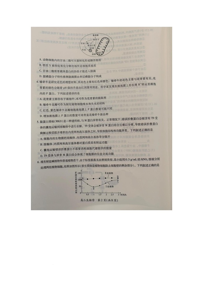 江西省2025-2026学年高三上学期10月月考生物试题第2页
