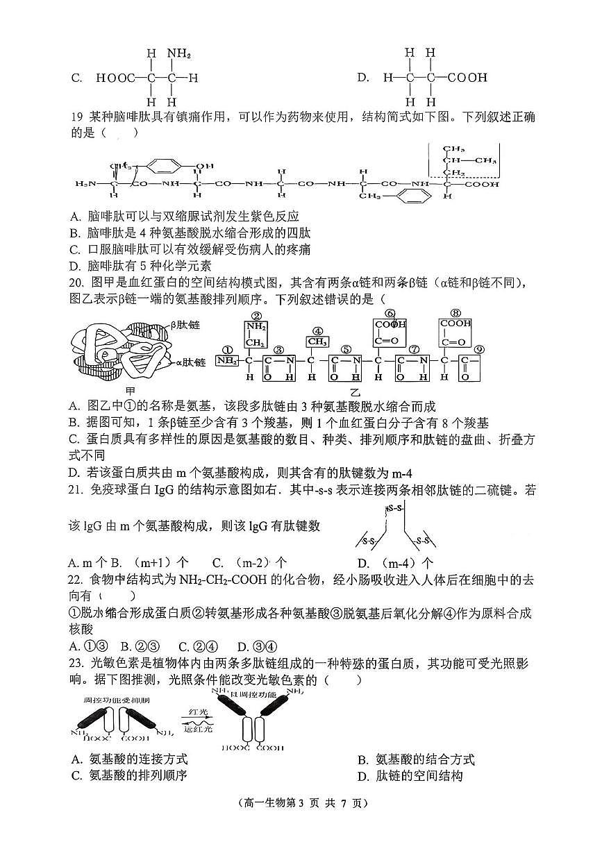 江苏省扬州市第一中学2025-2026学年高一上学期10月月考生物试题第3页