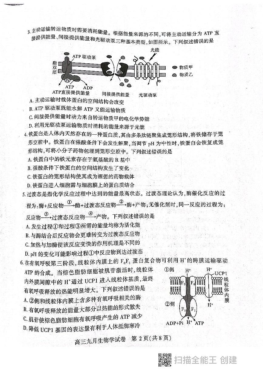 2024-2025学年度武汉市部分学校高三年级九月调研考试第2页