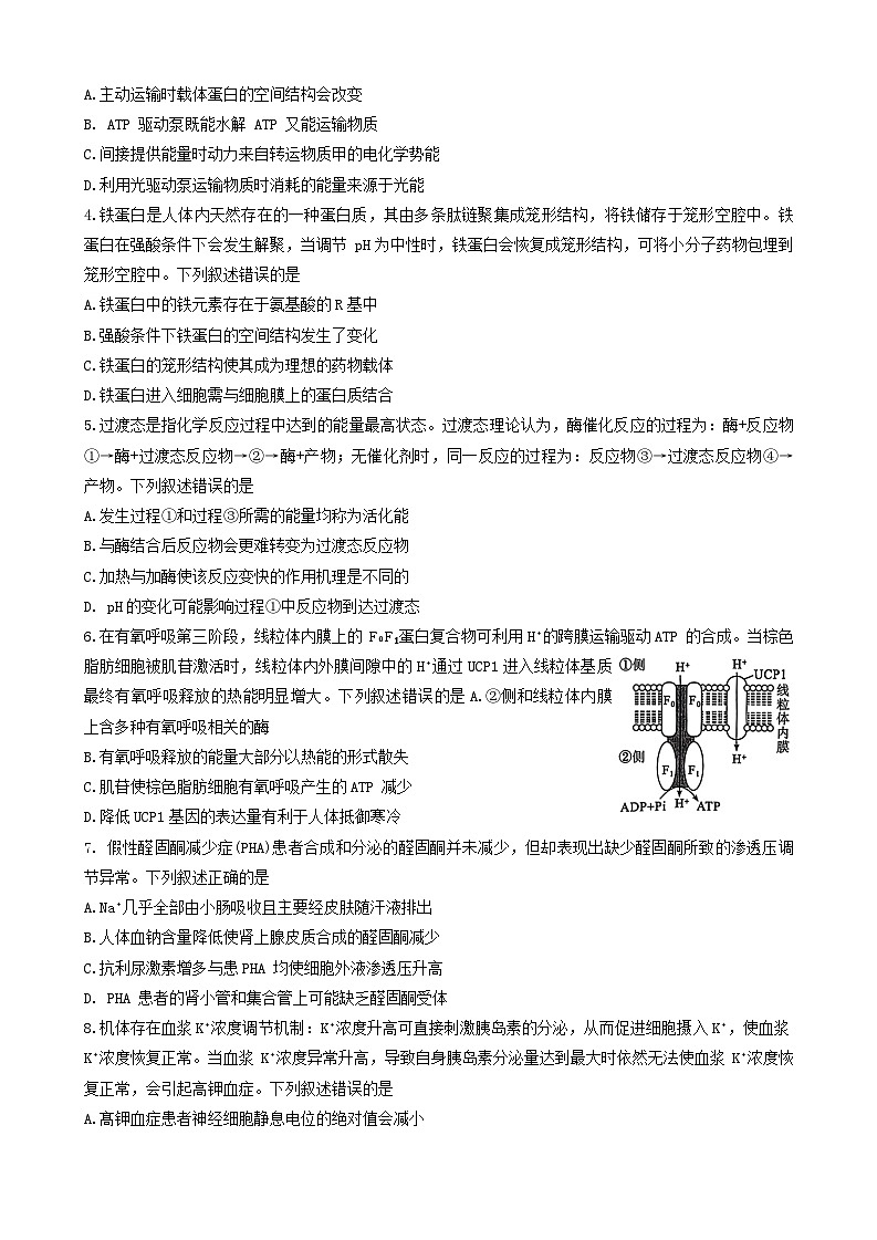 2024---2025学年度武汉市部分学校高三年级九月调研考试第2页
