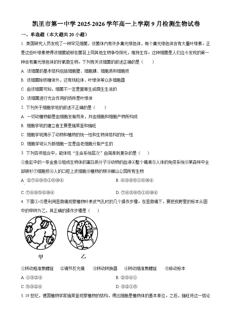 贵州省凯里市第一中学2025-2026学年高一上学期9月检测 生物第1页