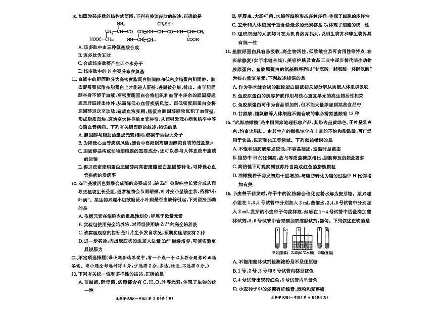 湖南省长沙市第一中学2025-2026学年高一上学期10月月考生物试题第2页