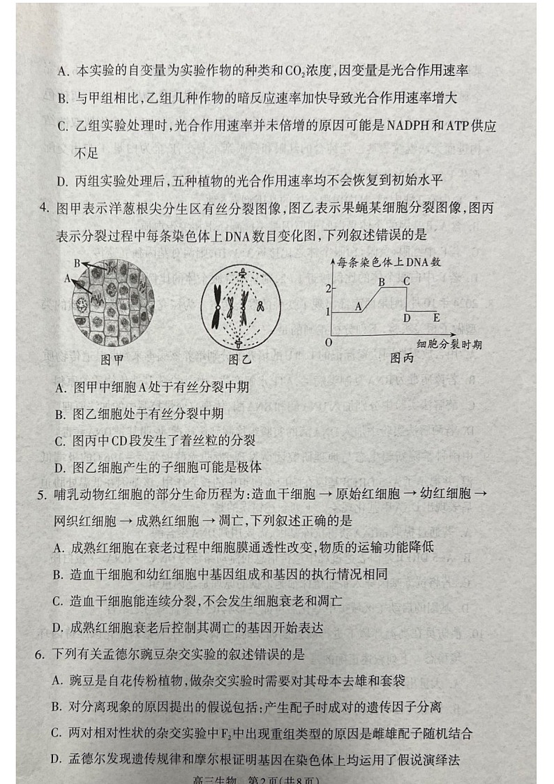 山西省吕梁市2025届高三上学期1月期末调研考试-生物试卷（含答案）第2页
