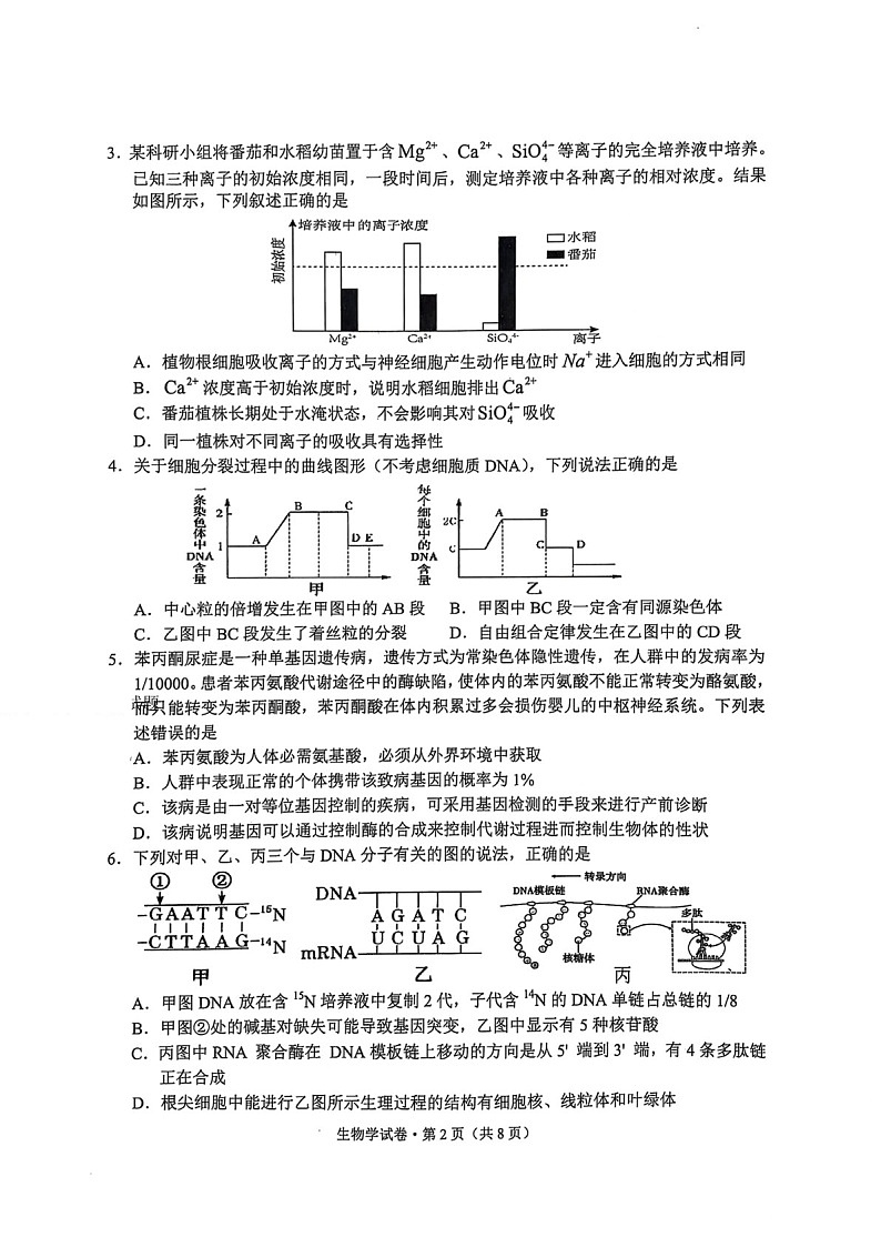 云南省大理州2025届高三上学期第二次复习统一检测生物试题（含答案）第2页