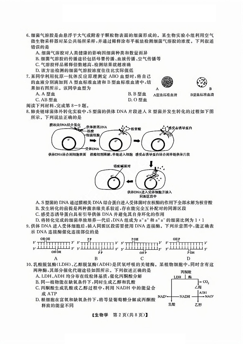 浙江省2025年1月浙江强基联盟高三上学期1月联考-生物试卷（含答案）第2页