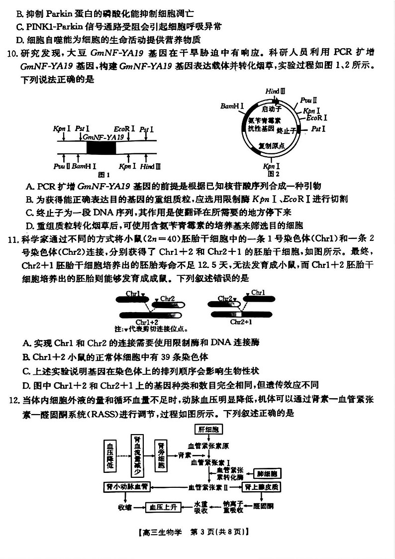 山西省晋城市2025届高三上学期第一次模拟考试-生物试卷（含答案）第3页