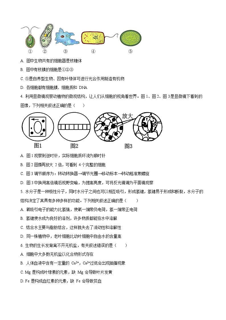 江苏省连云港市新海高级中学2025-2026学年高一上学期10月月考生物试卷第2页
