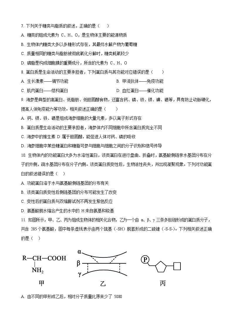 江苏省连云港市新海高级中学2025-2026学年高一上学期10月月考生物试卷第3页