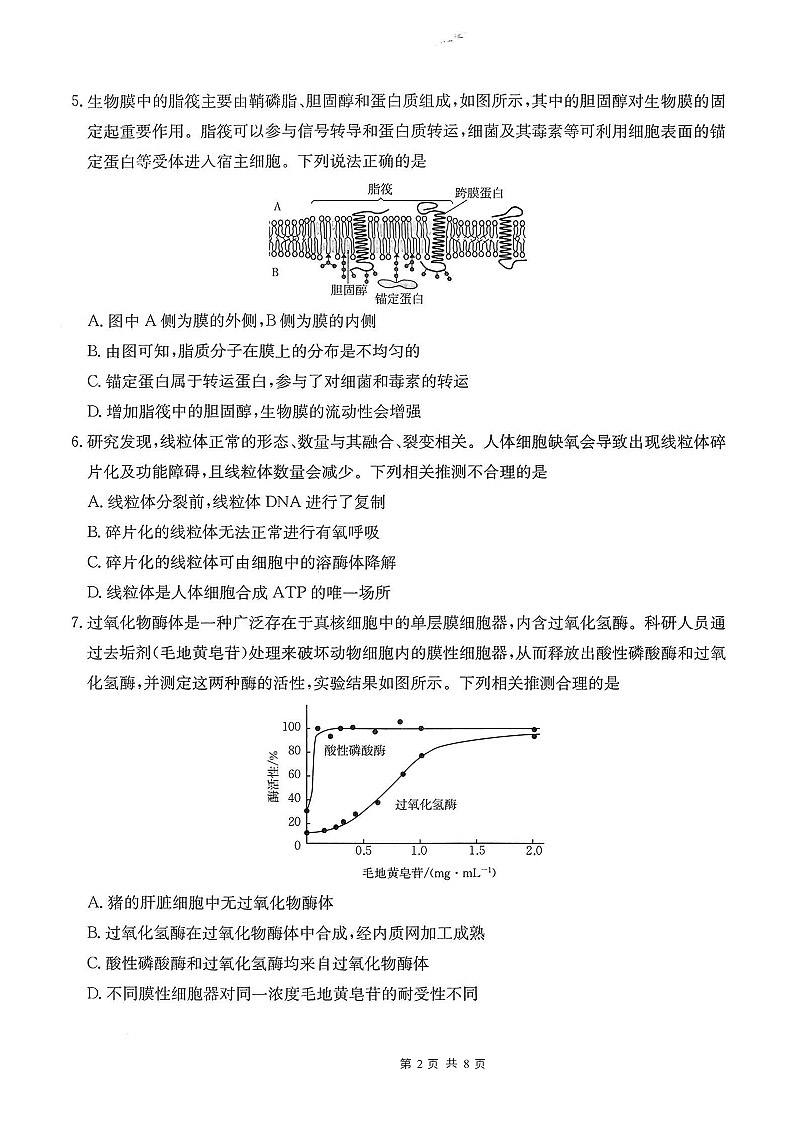 重庆市金太阳联考2026届高三上学期10月月考 生物试卷第2页