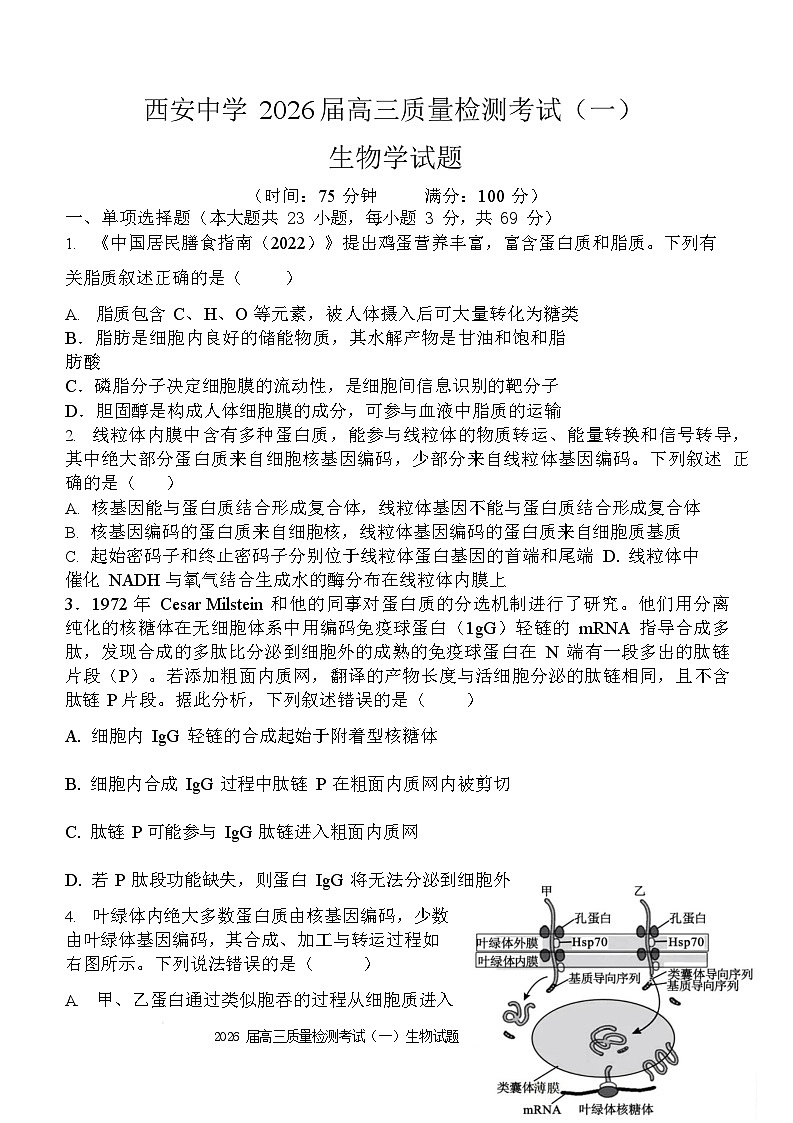 陕西省西安中学2026届高三上学期10月月考考试 生物试卷第1页