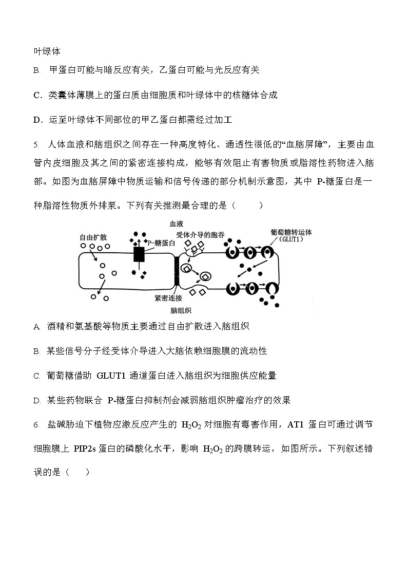陕西省西安中学2026届高三上学期10月月考考试 生物试卷第2页