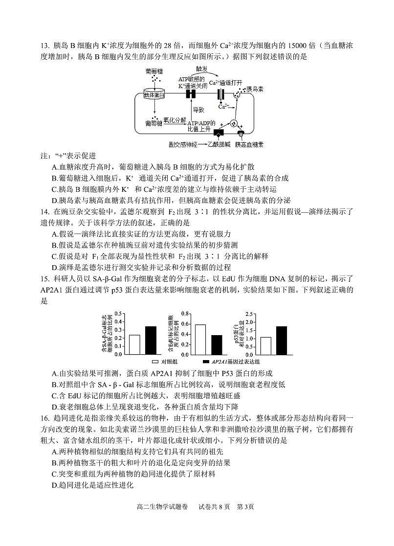 2025学年第一学期高二年级10月六校联考 生物第3页