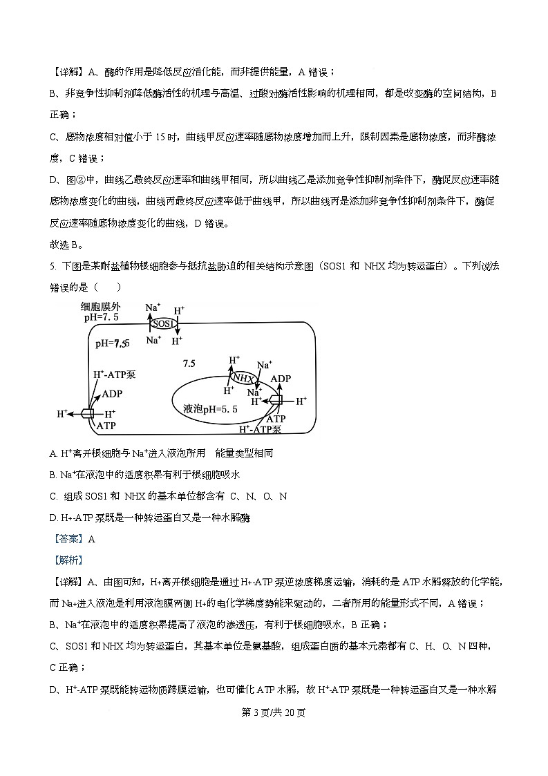 湖南省长沙市长郡中学2026届高三上学期10月月考生物试题 Word版含解析第3页