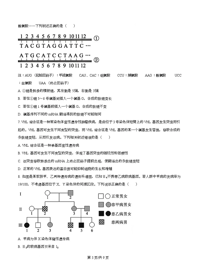 湖南省娄底市第一中学2025-2026学年高二上学期9月月考生物试题（原卷版）第3页