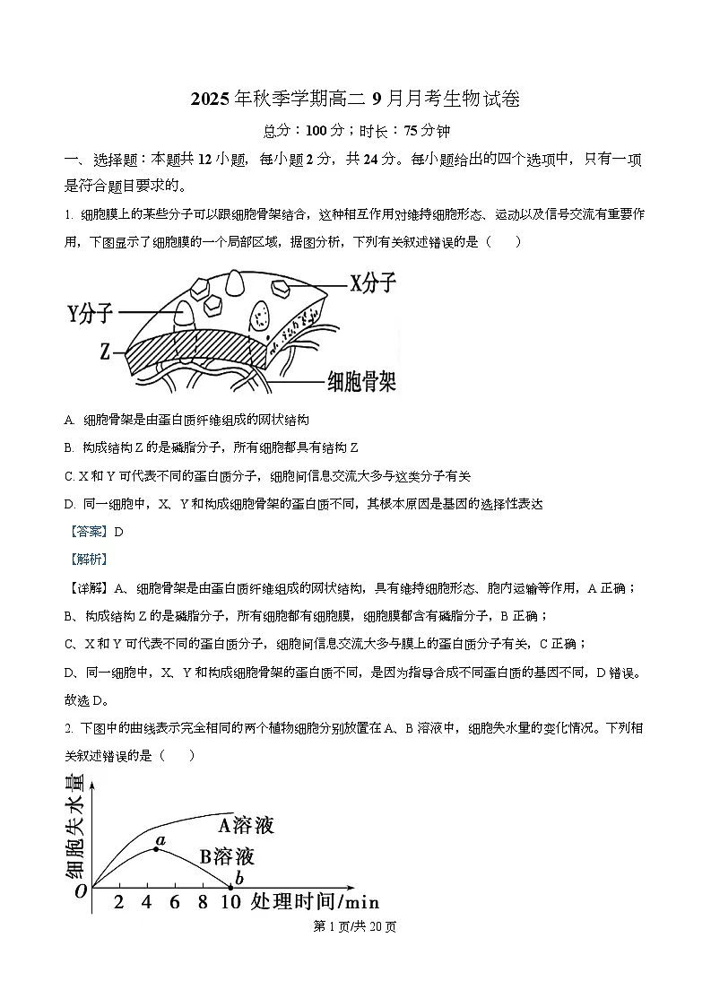 湖南省娄底市第一中学2025-2026学年高二上学期9月月考生物试题 Word版含解析第1页