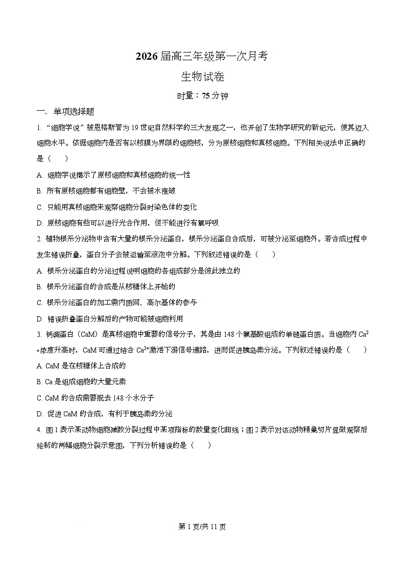 湖南省衡阳市第八中学2026届高三上学期第一次月考生物试题（原卷版）第1页
