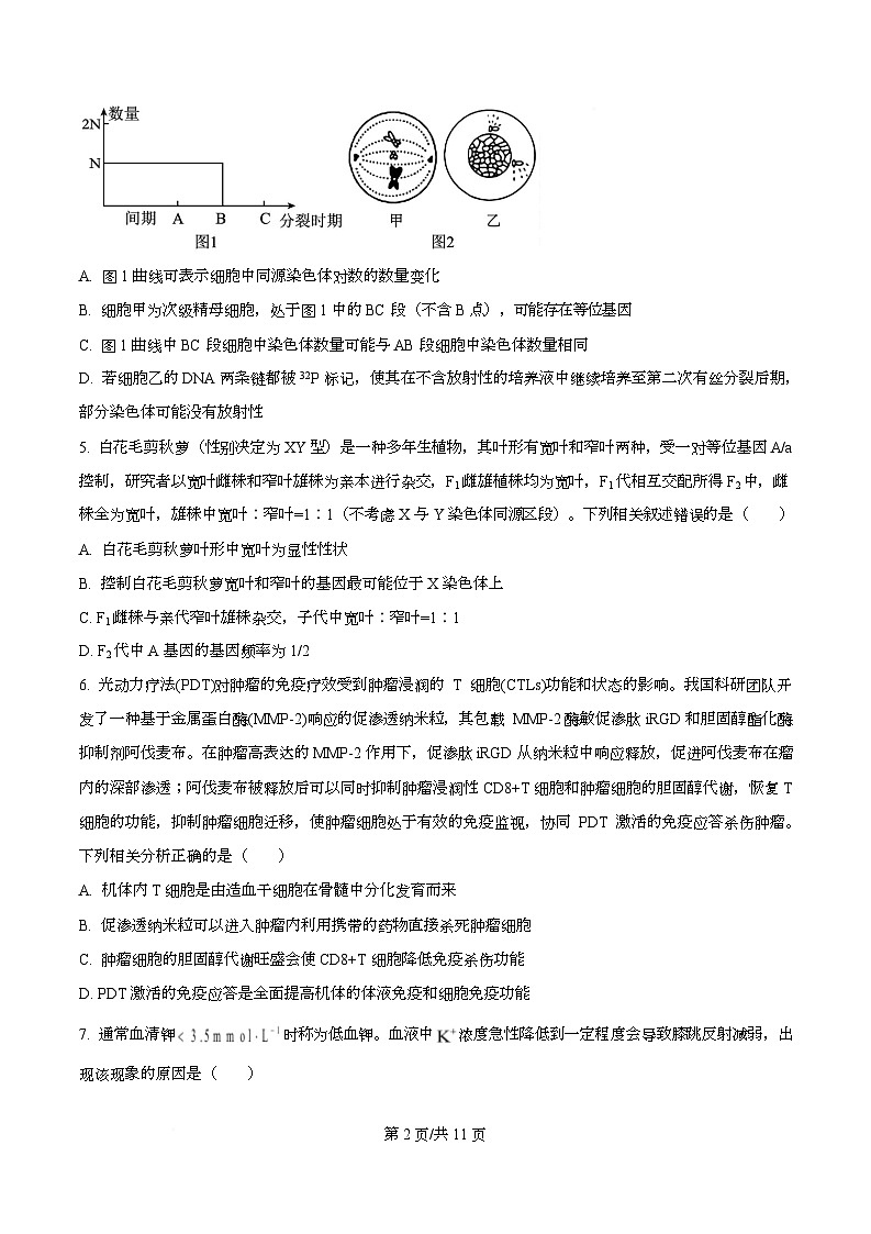 湖南省衡阳市第八中学2026届高三上学期第一次月考生物试题（原卷版）第2页