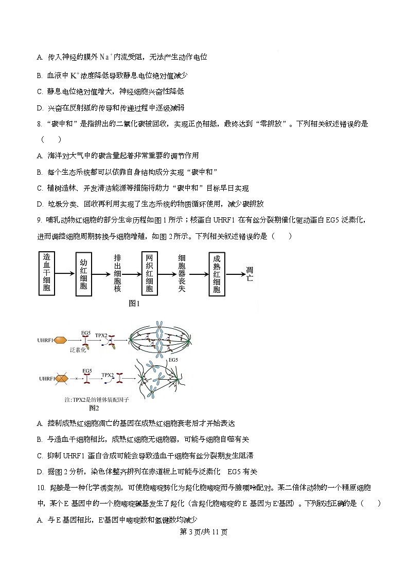 湖南省衡阳市第八中学2026届高三上学期第一次月考生物试题（原卷版）第3页