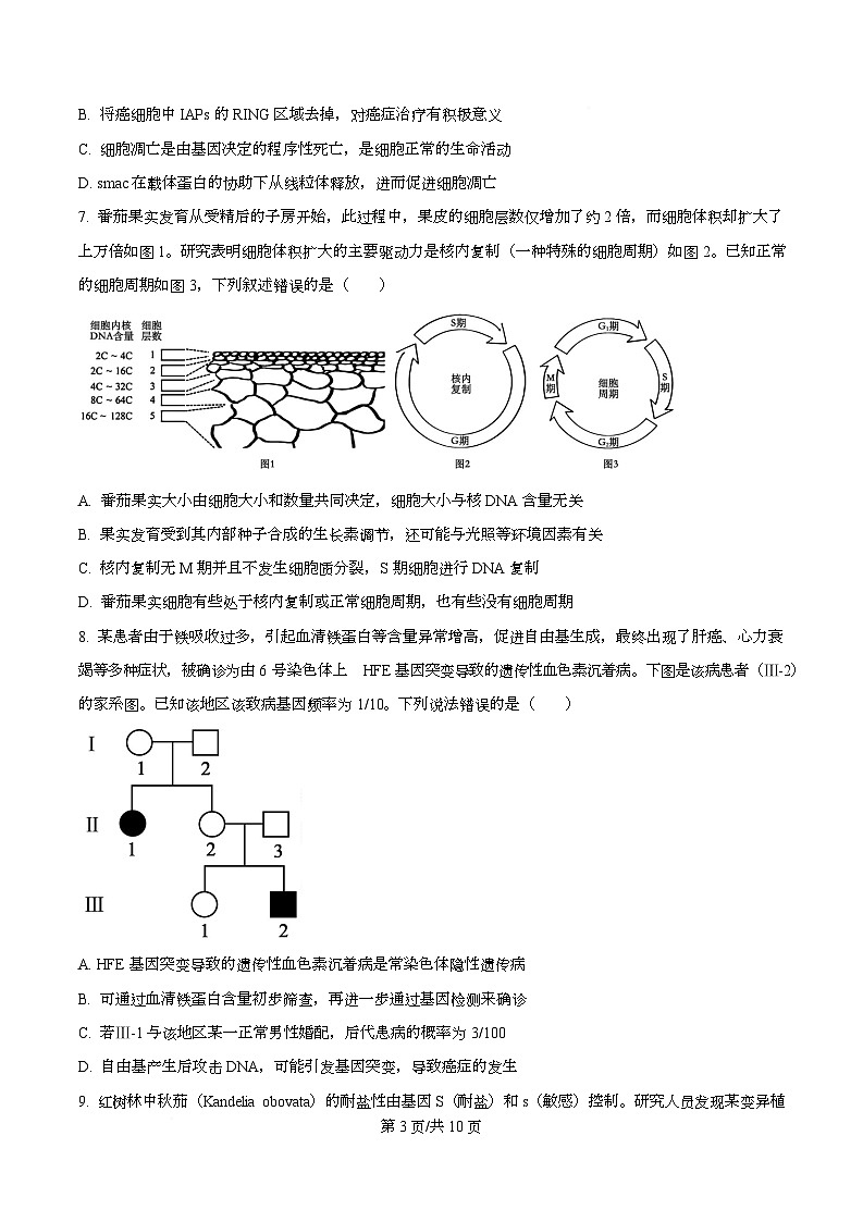 湖南省衡阳市第八中学2026届高三上学期10月月考生物试题（原卷版）第3页