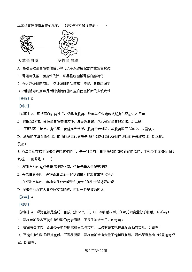 湖南省衡阳市第八中学2026届高三上学期10月月考生物试题 Word版含解析第2页