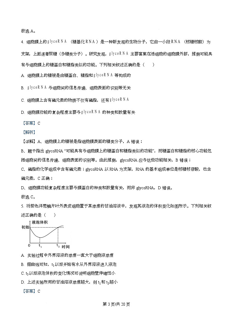 湖南省衡阳市第八中学2026届高三上学期10月月考生物试题 Word版含解析第3页