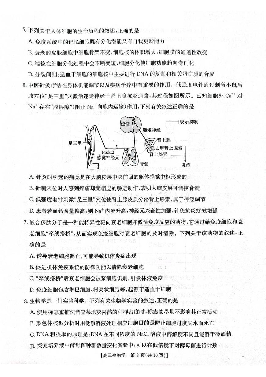 江苏省金太阳2026届高三上学期10月联考（26-67C）生物试题+答案第2页