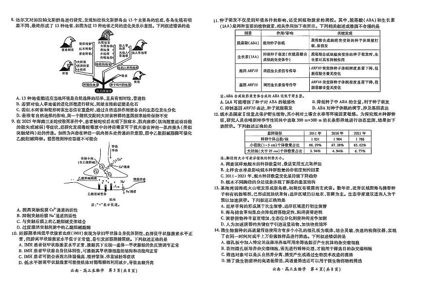 云南民族大学附属高级中学2026届高三联考卷（二）生物第2页