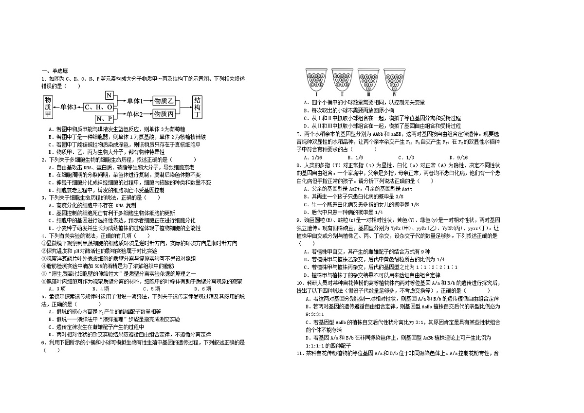 江西省宜春市2024_2025学年高一生物下学期3月第五次周练试题第1页