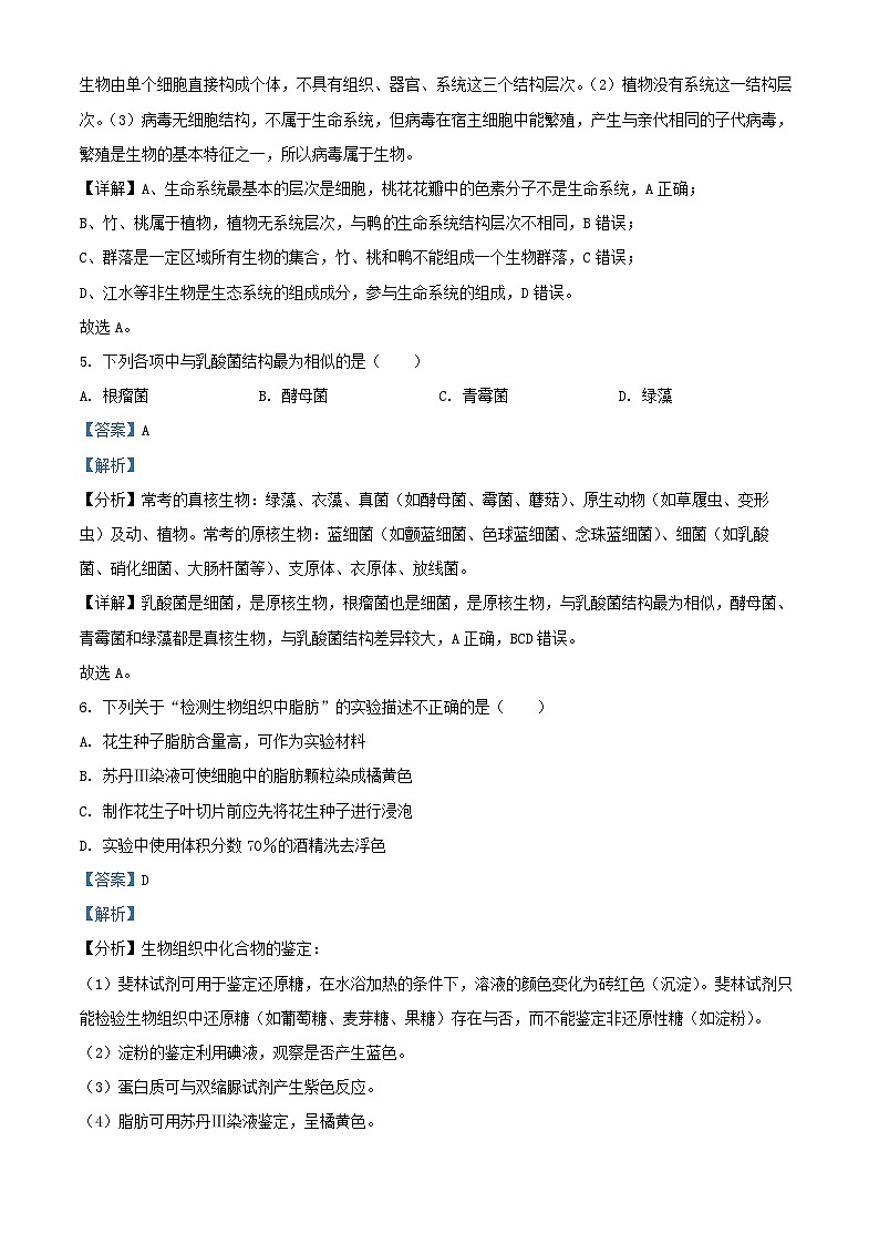 辽宁省2024_2025学年高一生物上学期10月月考试卷含解析第3页