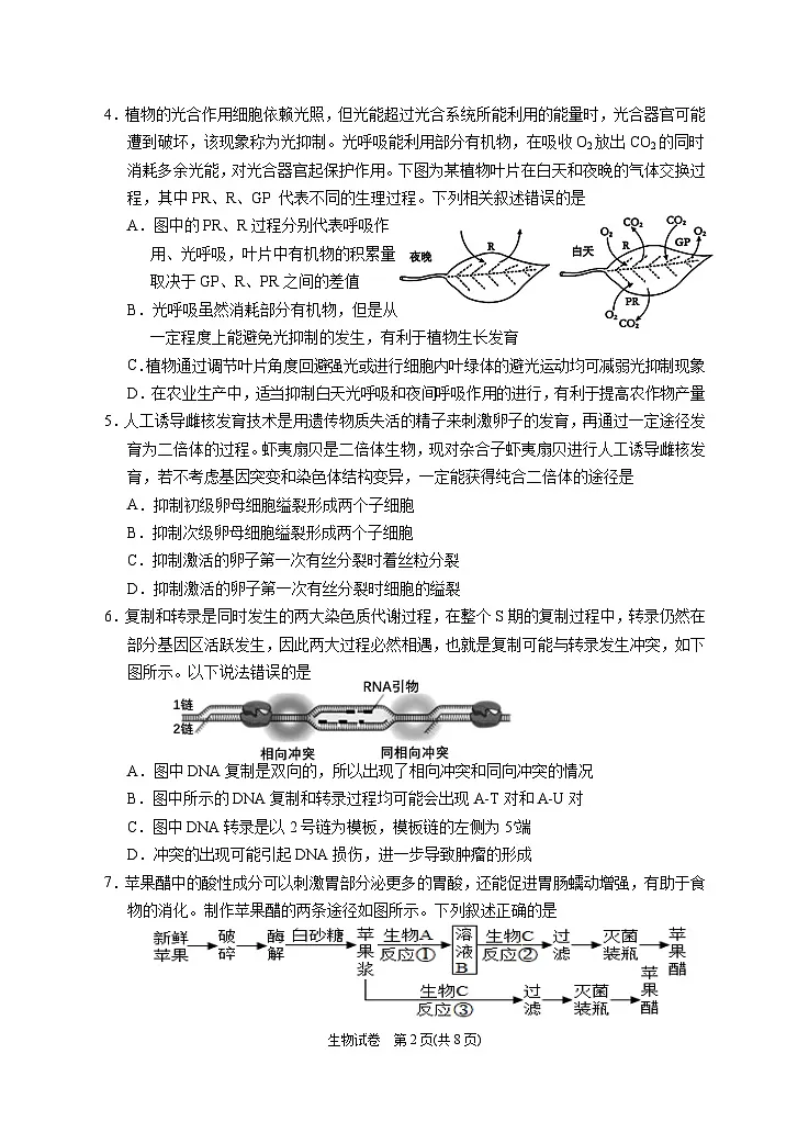 2025届高三第三次模拟生物试卷（含答案）第2页