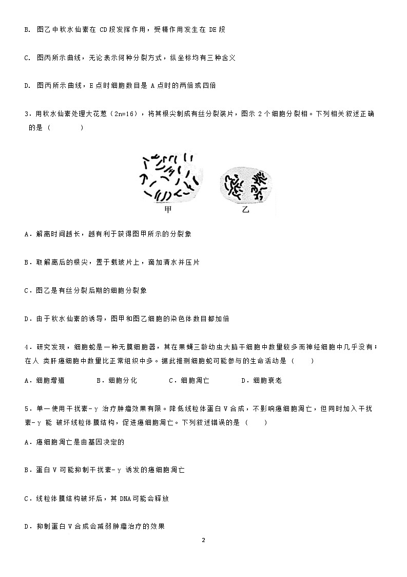 2026临沂一中高三上学期10月第一次阶段性质量检测试题生物含解析第3页
