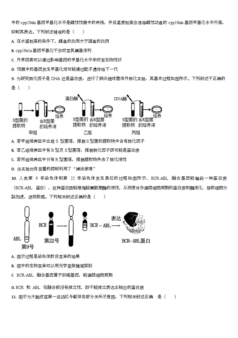 2026通化梅河口五中高二上学期10月月考试题生物含答案第3页