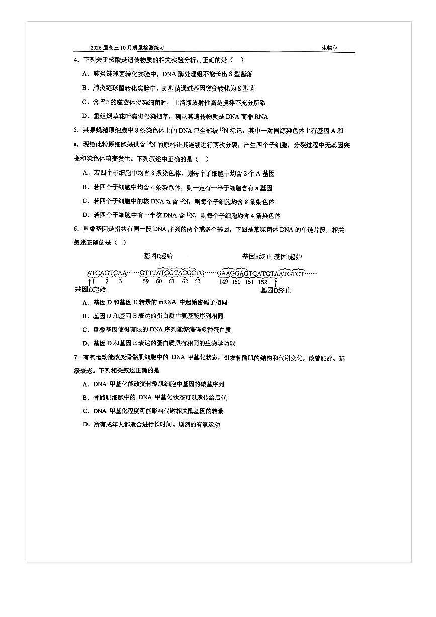 2025-2026学年北京人大附中高三上10月月考生物试题及答案第2页