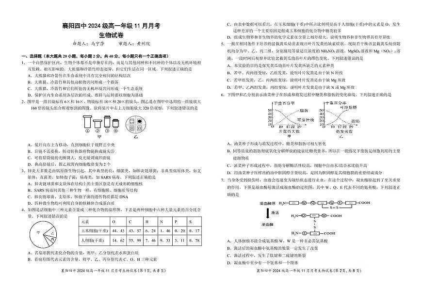 湖北省襄阳市第四中学2024-2025学年高一上学期期中考试生物试题第1页