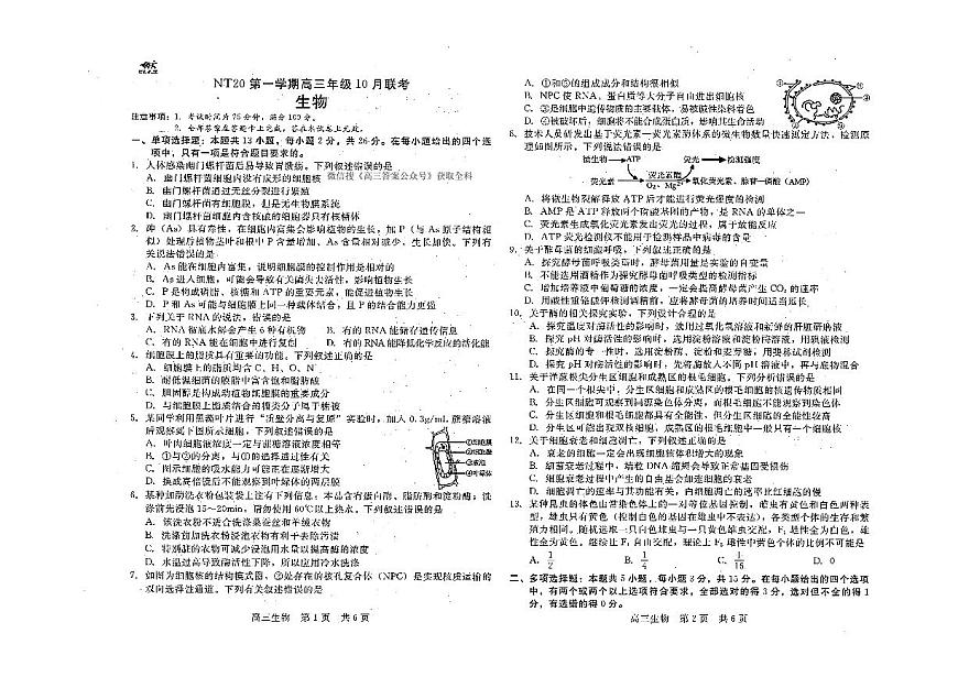 河北NT20联考2026届高三上学期10月月考生物试题无答案第1页