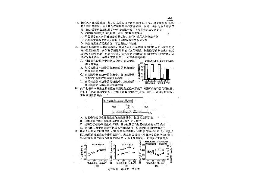 河北NT20联考2026届高三上学期10月月考生物试题无答案第2页