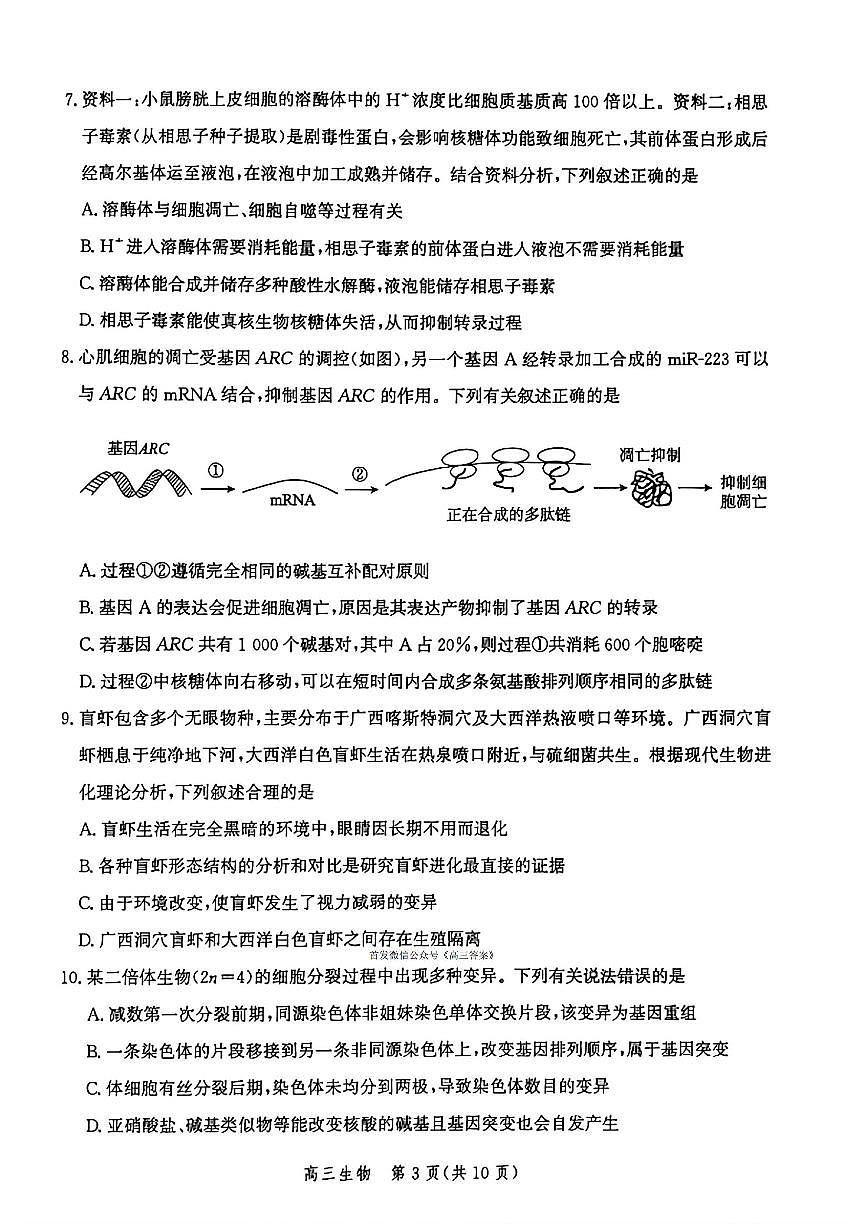 2025年河北省高三上学期10月生物试题及答案第3页