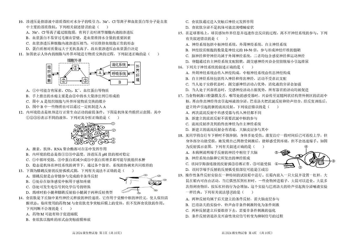 四川省南充高级中学2025-2026学年高二上学期10月月考生物 南充高中高20024级高二上学期第一次月考（生物试题）第2页